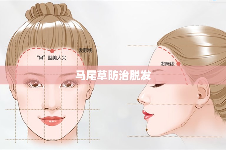 马尾草防治脱发 马尾草防治脱发