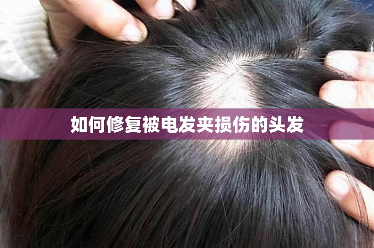 如何修复被电发夹损伤的头发
