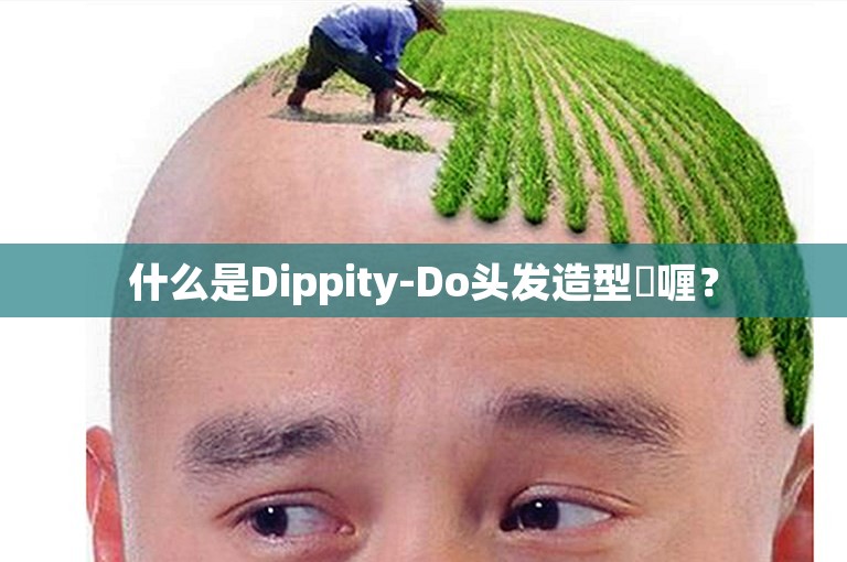 什么是Dippity-Do头发造型啫喱？