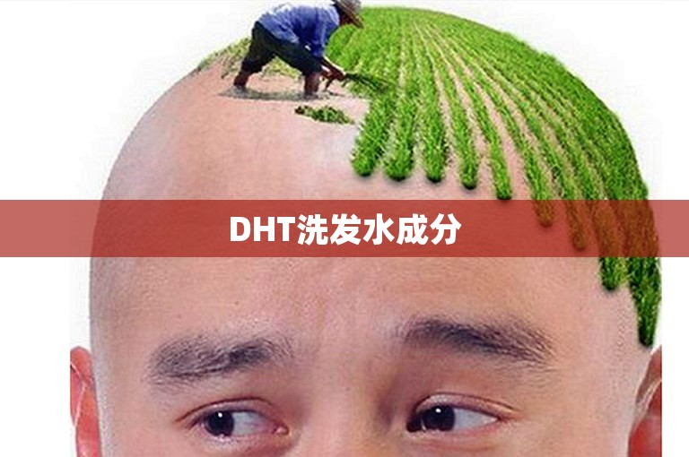 DHT洗发水成分