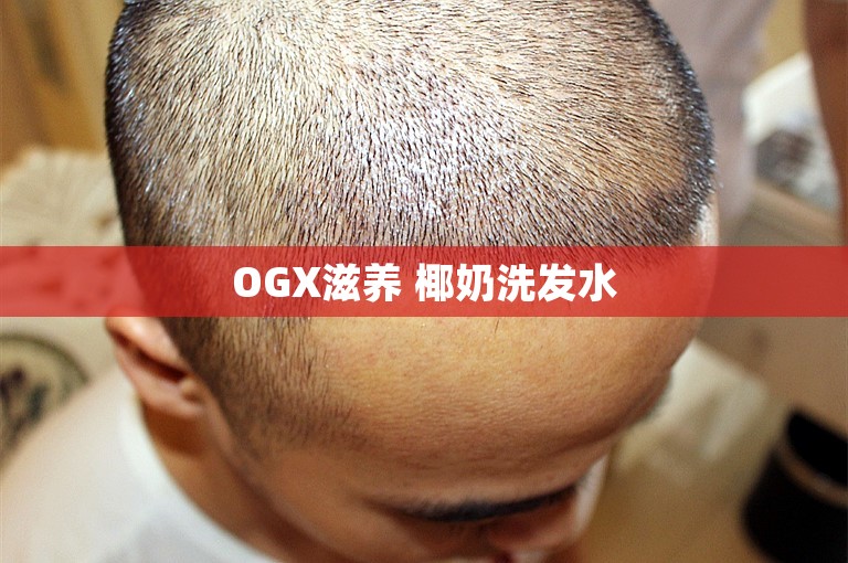 OGX滋养 椰奶洗发水