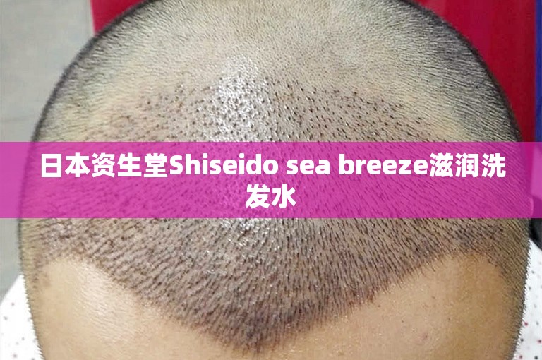 日本资生堂Shiseido sea breeze滋润洗发水