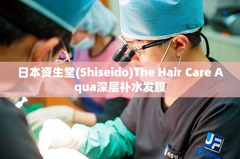 日本资生堂(Shiseido)The Hair Care Aqua深层补水发膜