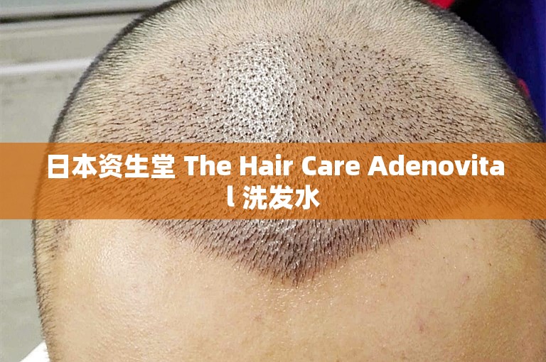 日本资生堂 The Hair Care Adenovital 洗发水