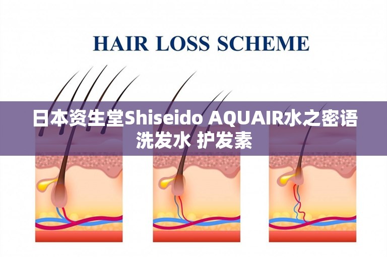 日本资生堂Shiseido AQUAIR水之密语洗发水 护发素