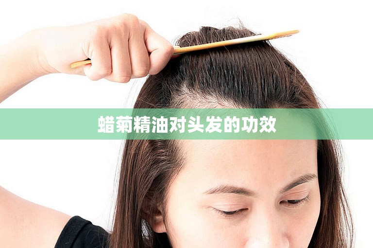 蜡菊精油对头发的功效