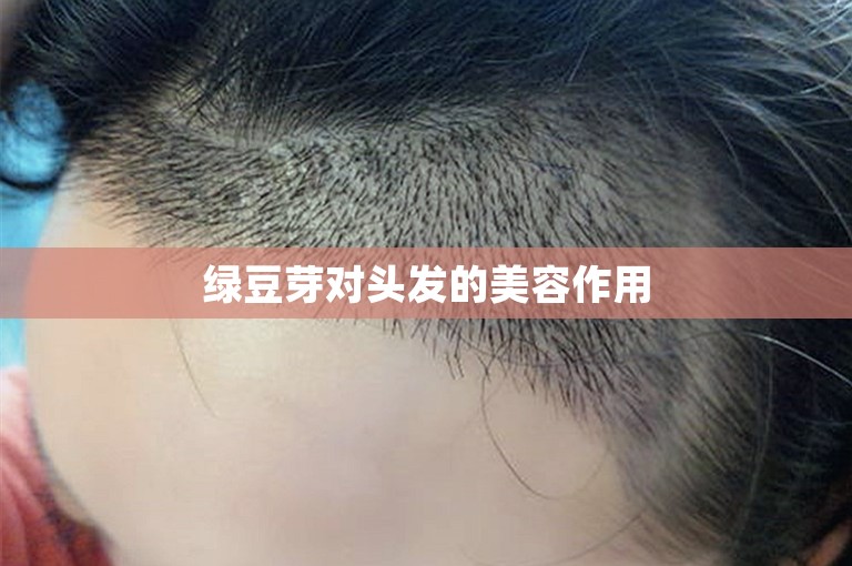 绿豆芽对头发的美容作用