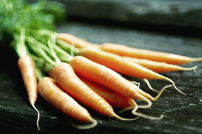 【组图】胡萝卜对健康和美容的益处
