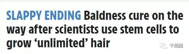人体干细胞再生出无限的头发秃顶人士有希望啦
