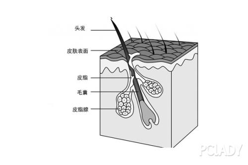 微针植发效果好吗