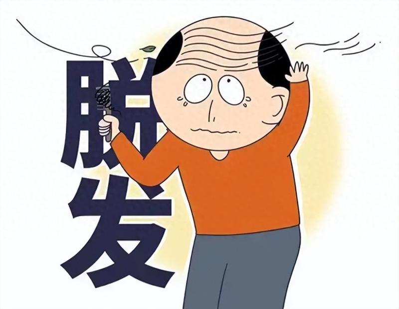 男性为什么更容易脱发?雄秃的科学真相与残酷物语